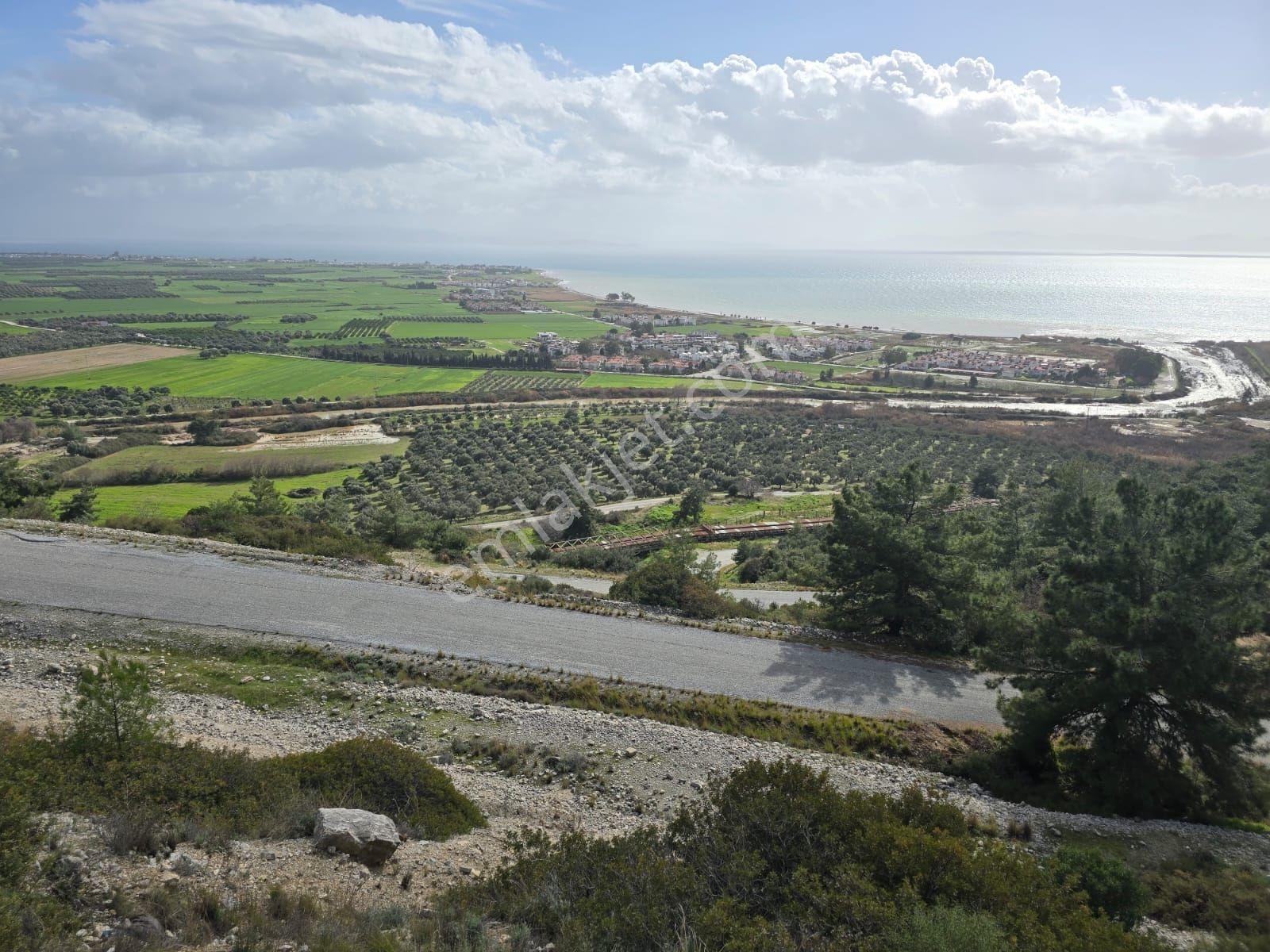 Muğla İli,milas İlçesi,çamlıca Mah.full Deniz Manzaralı 2.255 M2 - Görsel 21