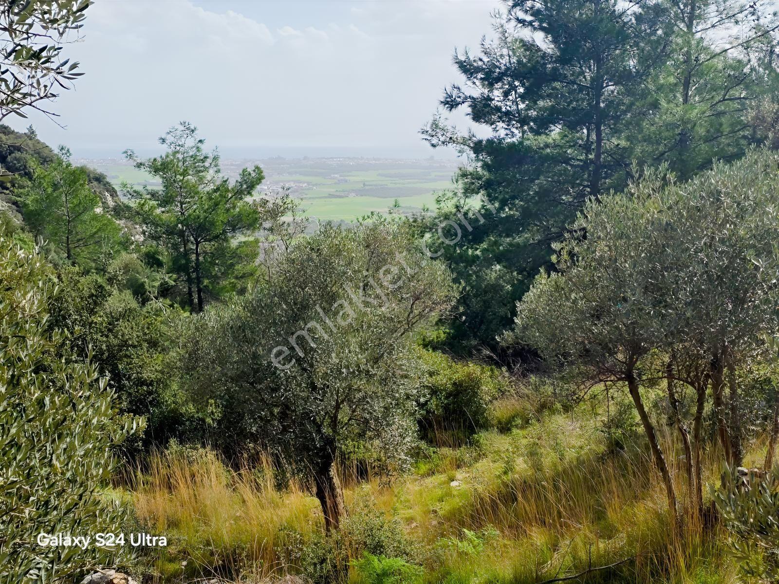 Muğla İli,milas İlçesi,çamlıca Mah.full Deniz Manzaralı 2.255 M2 - Görsel 24