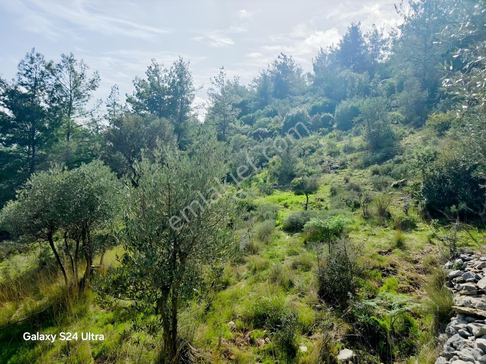 Muğla İli,milas İlçesi,çamlıca Mah.full Deniz Manzaralı 2.255 M2 - Görsel 15
