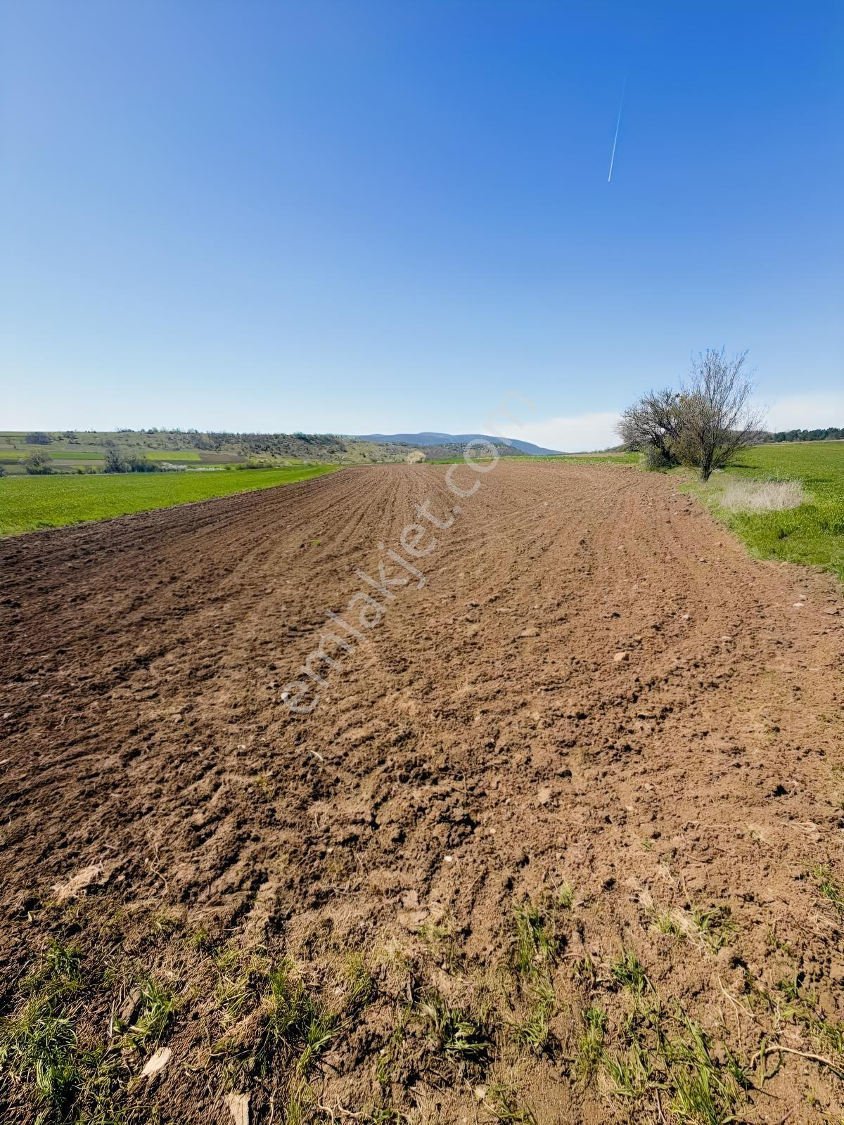 Yatırım Fırsatı! Osb Yakın 4621m2 Yola Cephe Tarla - Görsel 2