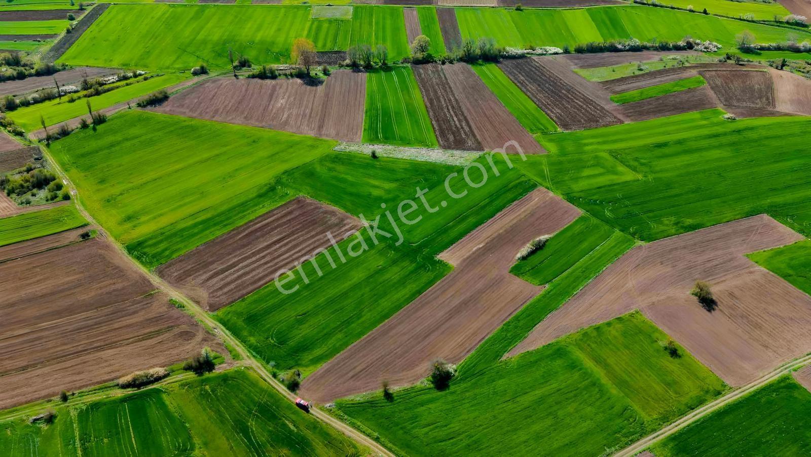 Yatırım Fırsatı! Osb Yakın 4621m2 Yola Cephe Tarla