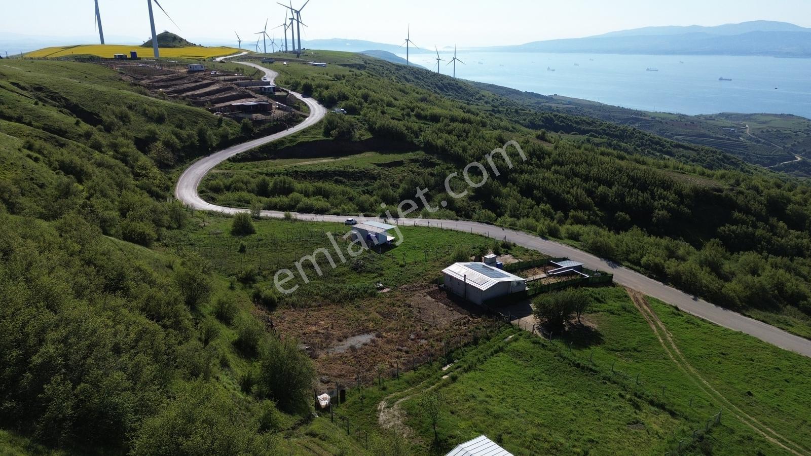 Sevinç'ten Sahil Yenice'de Full Deniz Manzaralı Muhteşem Yer - Görsel 11