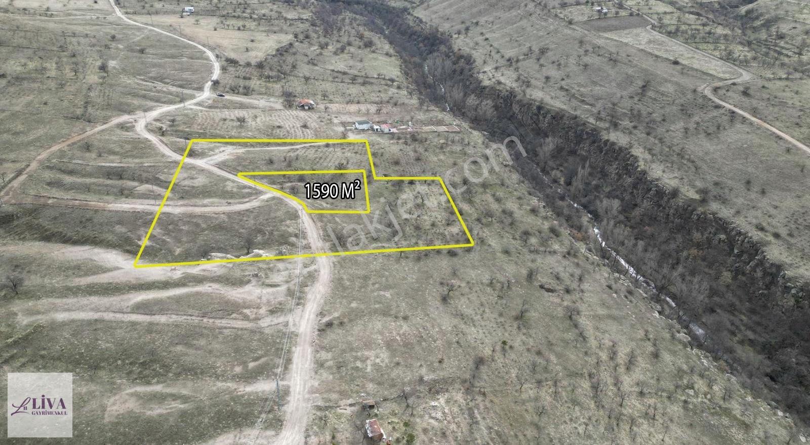 Liva'dan Reşadiye'de 1590 M² Rızai Taksimli Bağ - Görsel 7