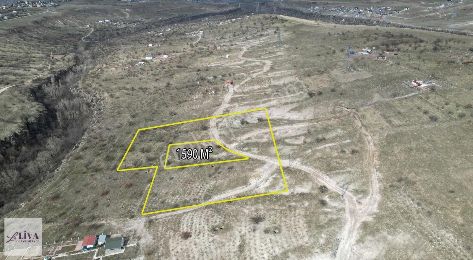 Liva'dan Reşadiye'de 1590 M² Rızai Taksimli Bağ - Görsel 10