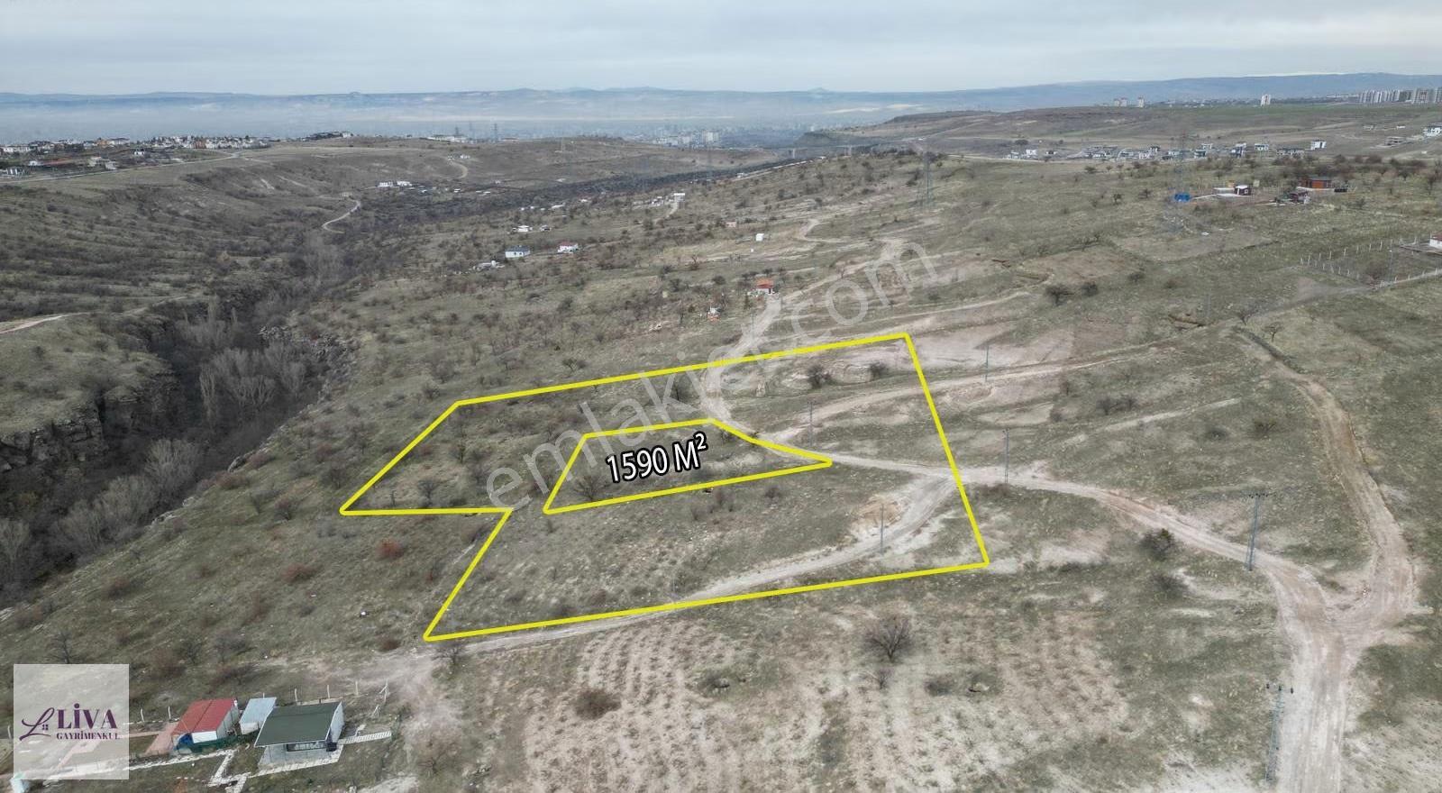 Liva'dan Reşadiye'de 1590 M² Rızai Taksimli Bağ - Görsel 3
