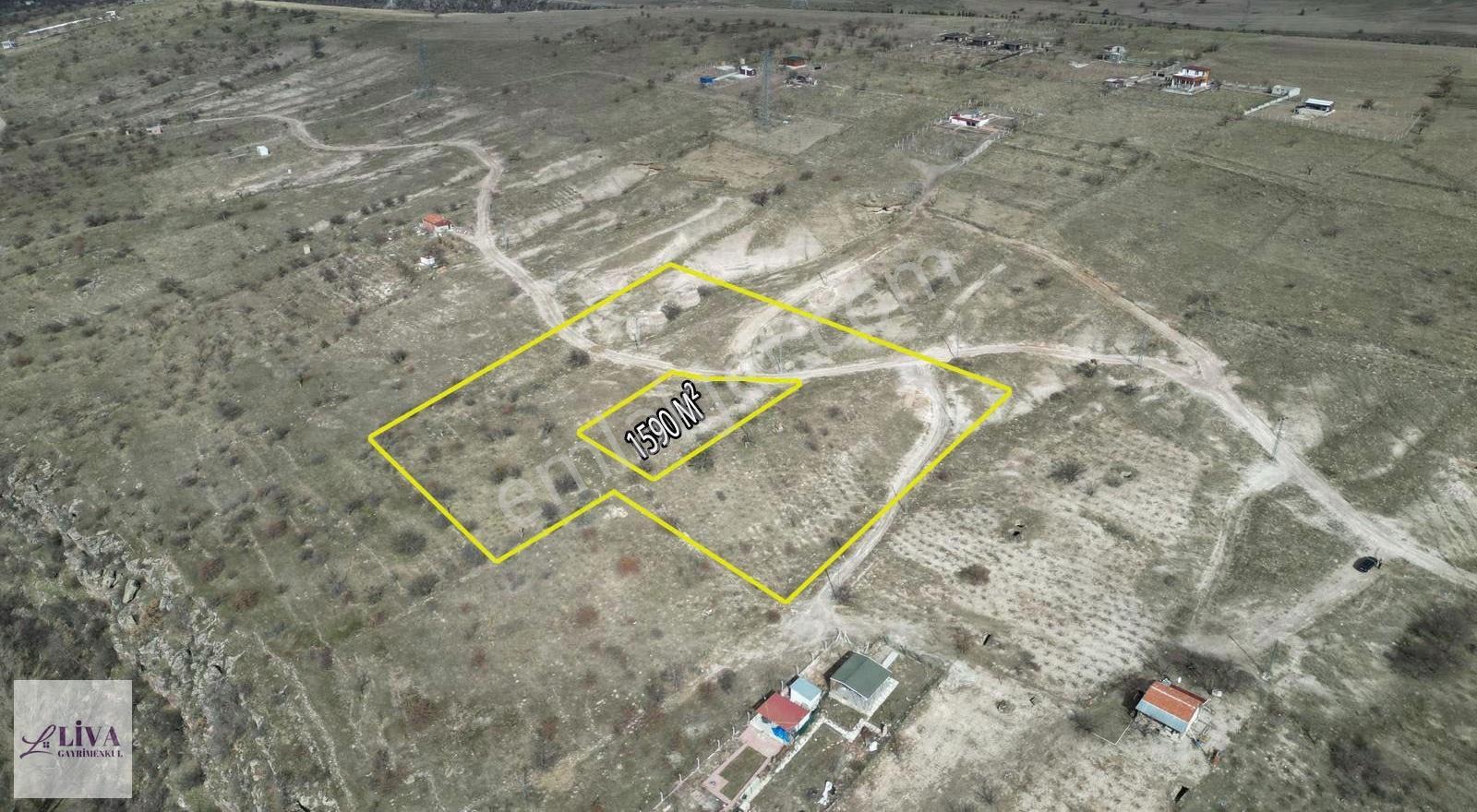 Liva'dan Reşadiye'de 1590 M² Rızai Taksimli Bağ - Görsel 2