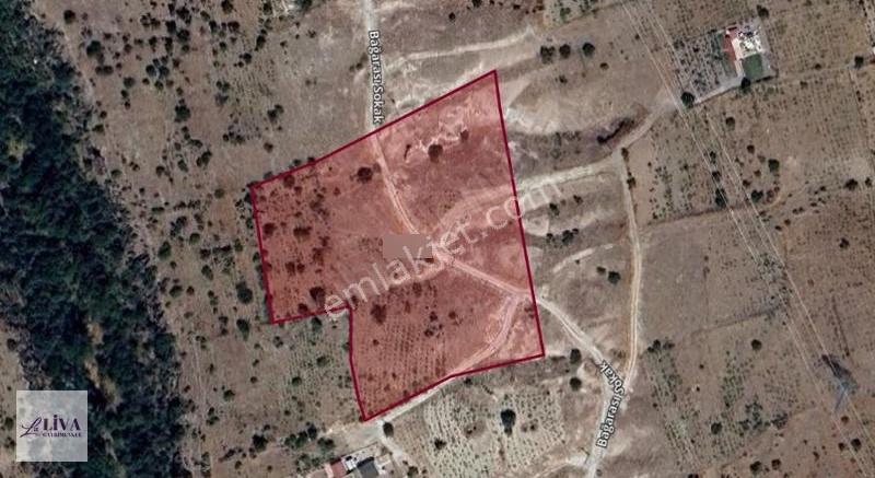 Liva'dan Reşadiye'de 1590 M² Rızai Taksimli Bağ - Görsel 9