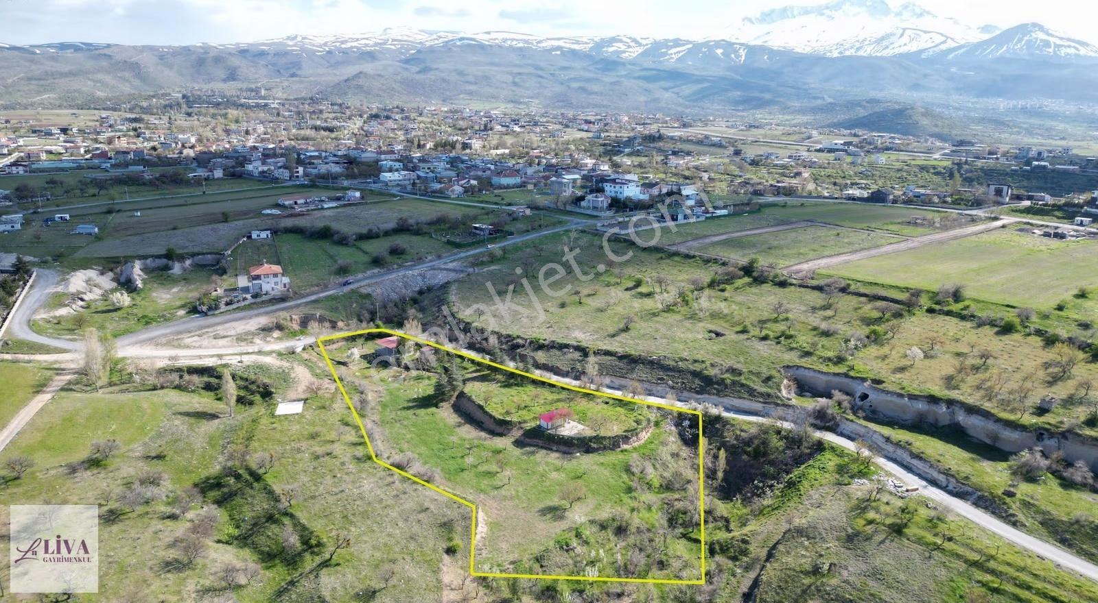 Livadan Reşadiye'de İmara Sınır 5587 M² Tek Tapu Konteynırlı Bağ - Görsel 2