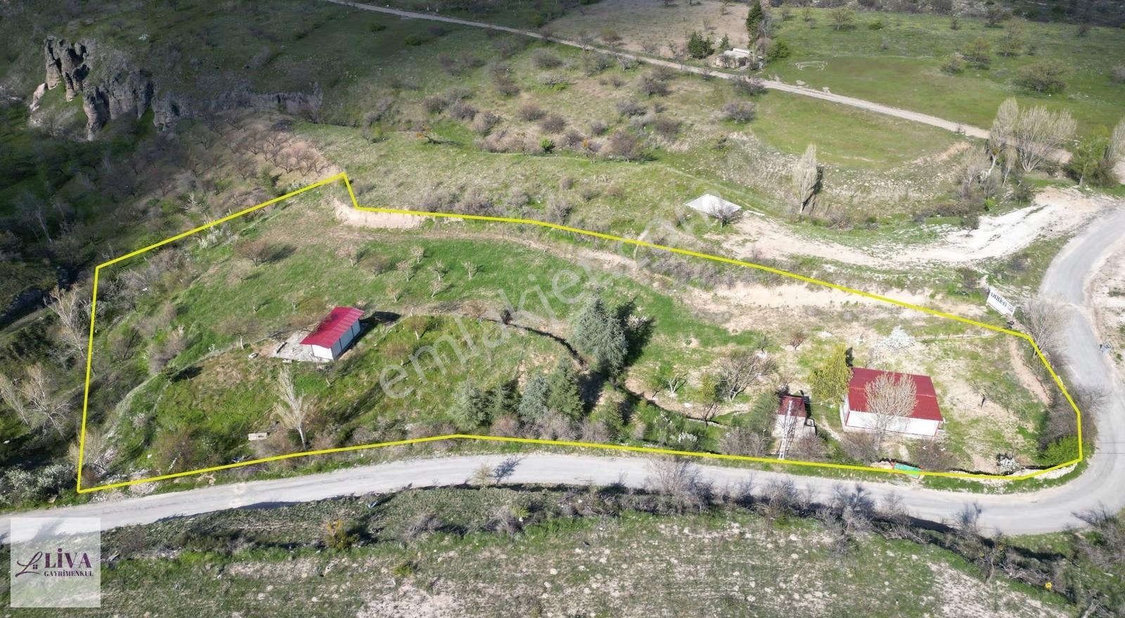 Livadan Reşadiye'de İmara Sınır 5587 M² Tek Tapu Konteynırlı Bağ - Görsel 3