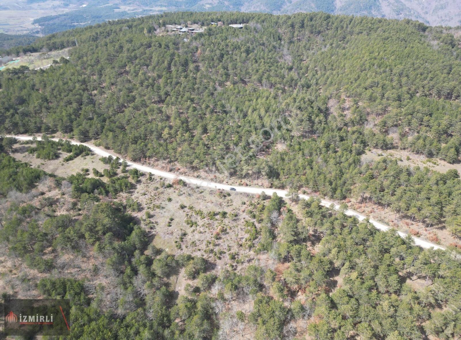 Pamukova Bakacakta Satılık Tarla Eşsiz Manzara Ve Geniş Cephe - Görsel 13