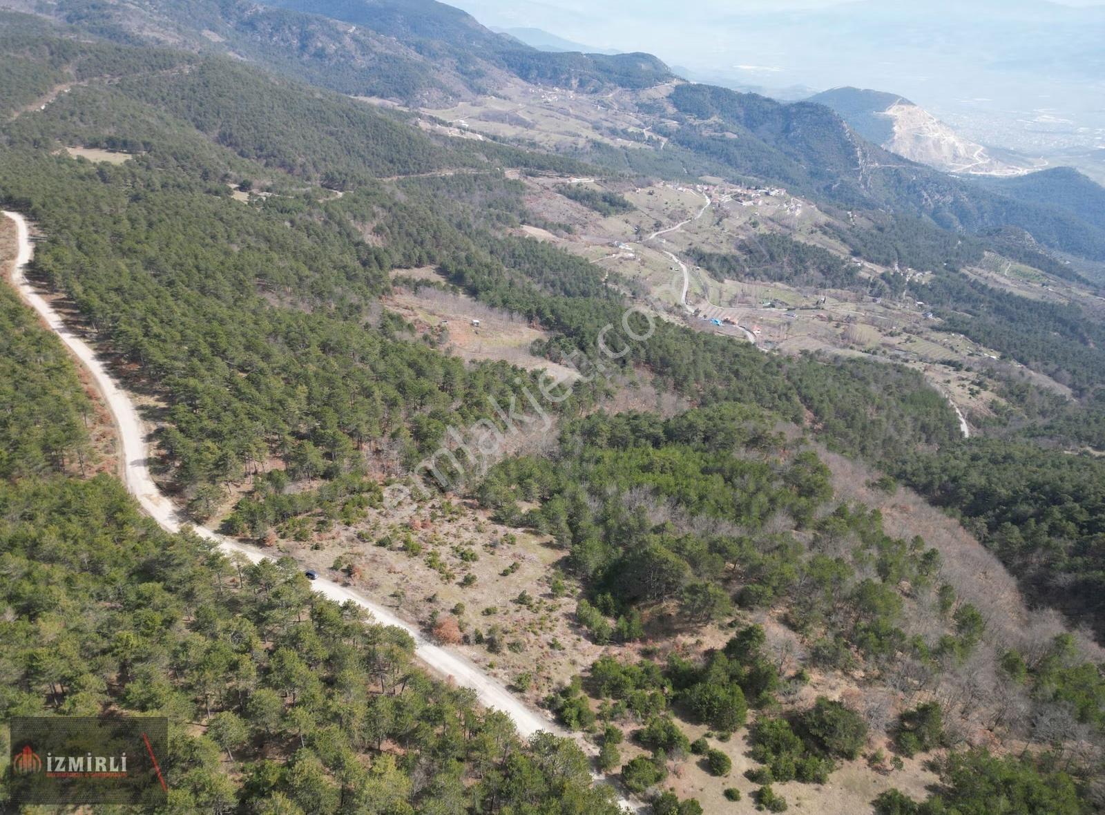 Pamukova Bakacakta Satılık Tarla Eşsiz Manzara Ve Geniş Cephe - Görsel 7