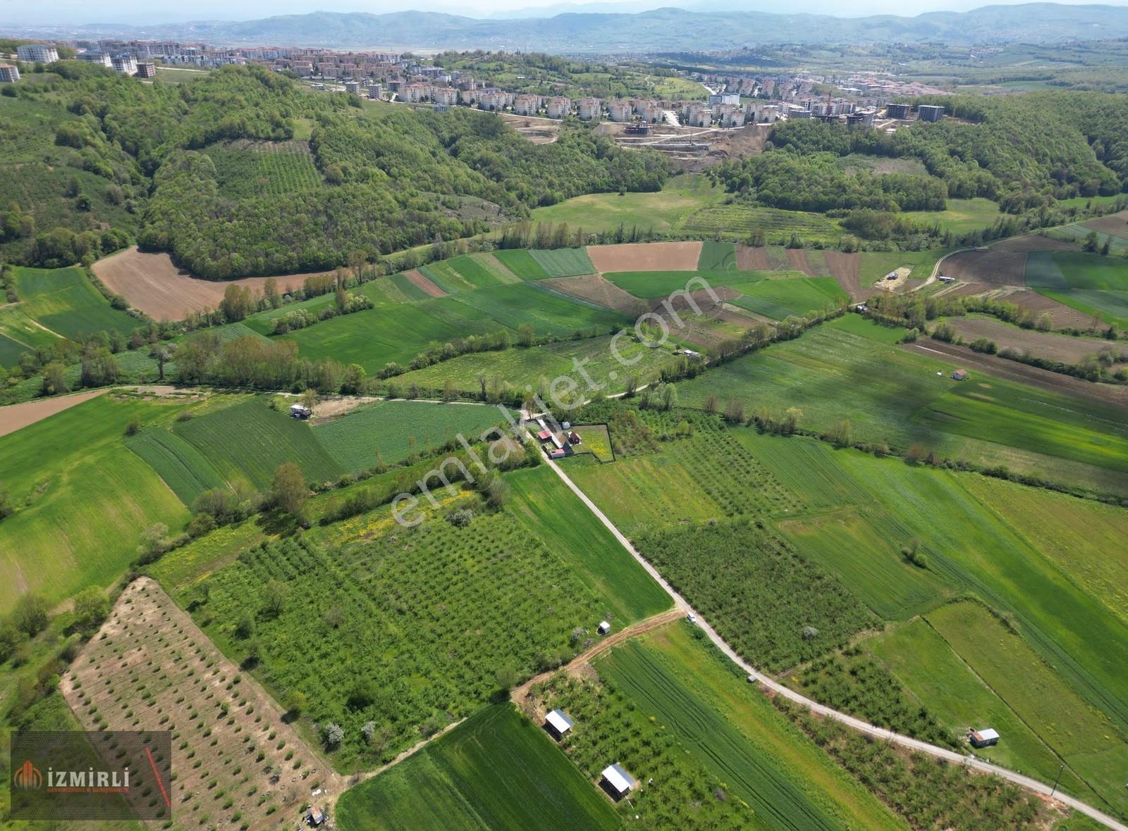 Aşırlarda 8.999 M² Düz Zemin Verimli Fındıklık - Görsel 5