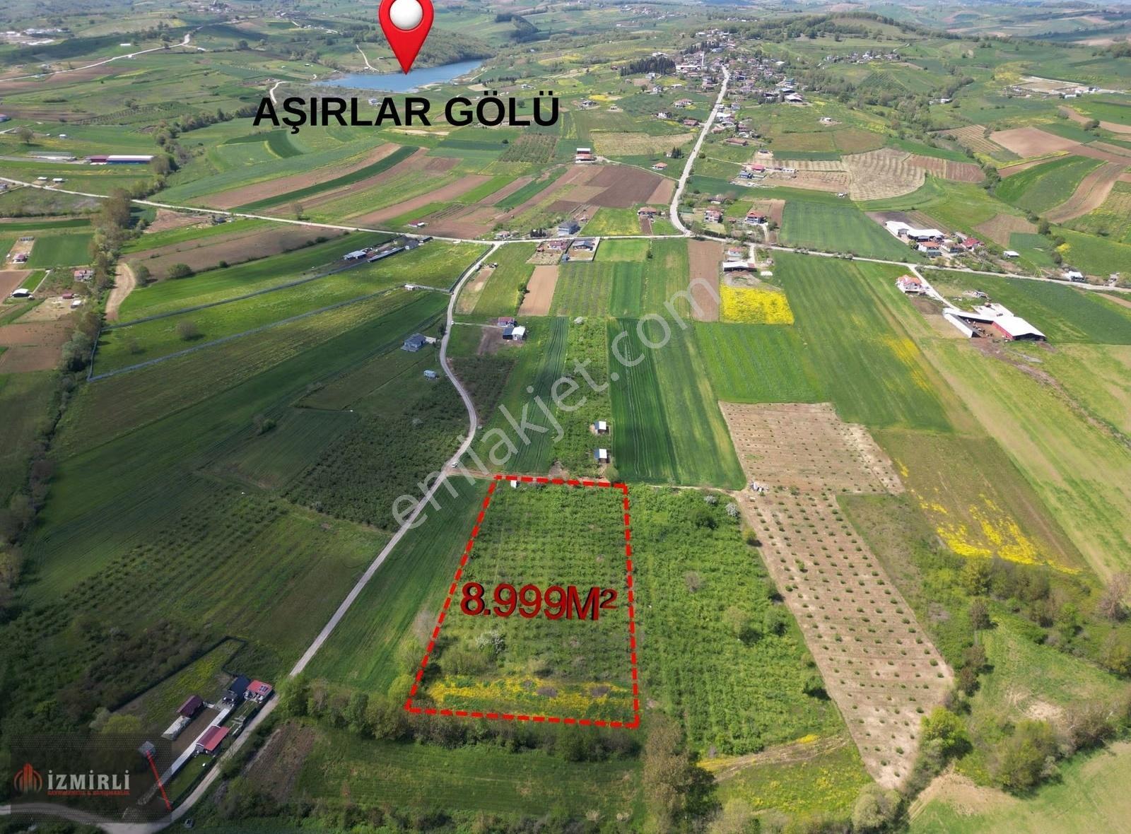 Aşırlarda 8.999 M² Düz Zemin Verimli Fındıklık - Görsel 13