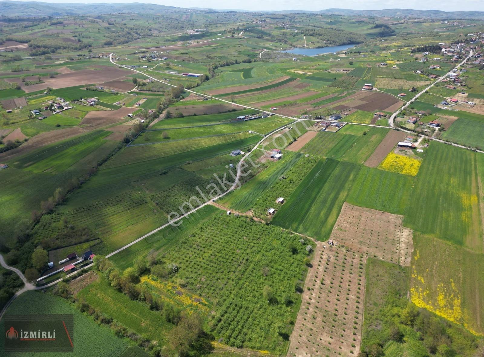 Aşırlarda 8.999 M² Düz Zemin Verimli Fındıklık - Görsel 7