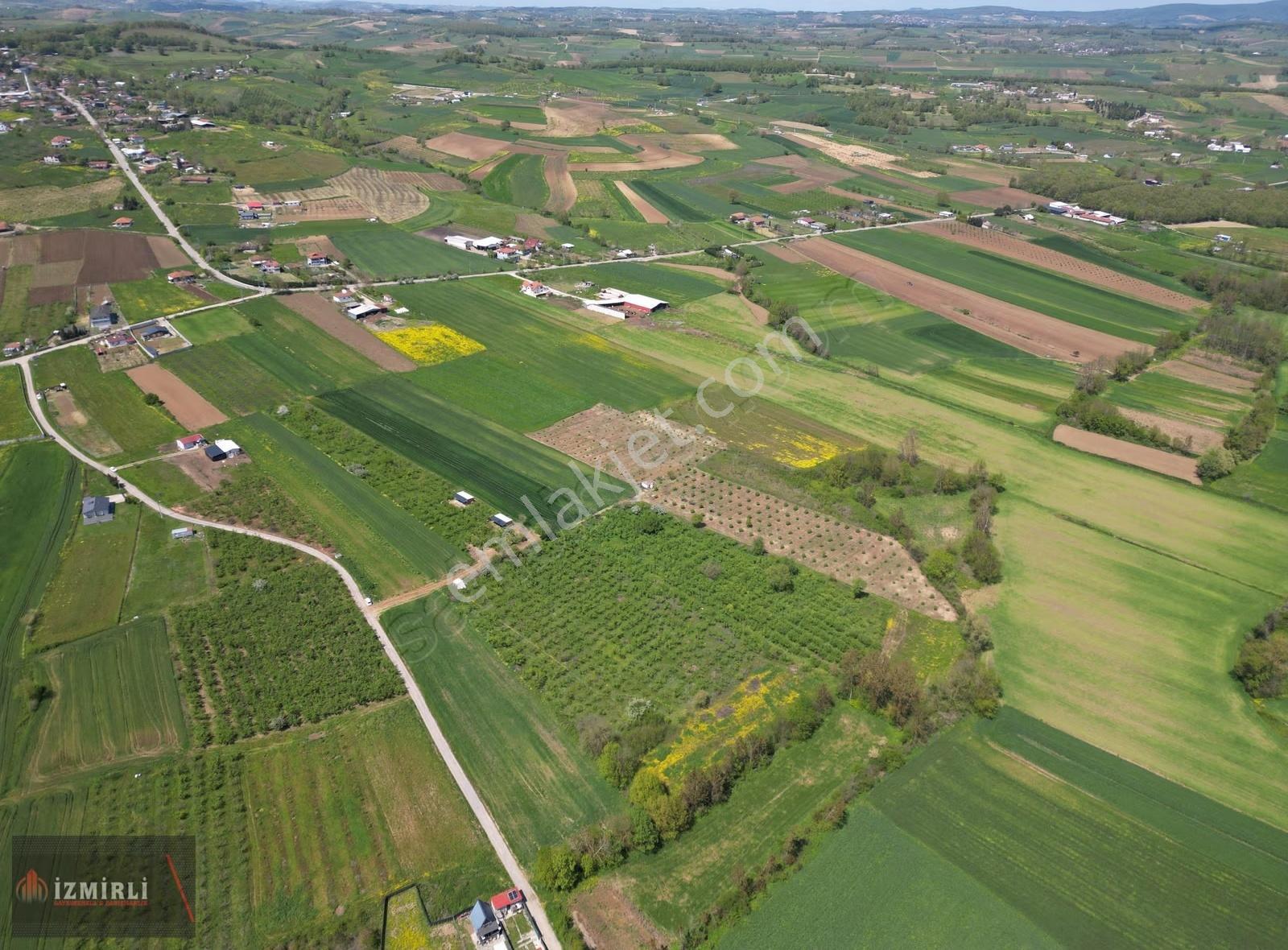 Aşırlarda 8.999 M² Düz Zemin Verimli Fındıklık - Görsel 16