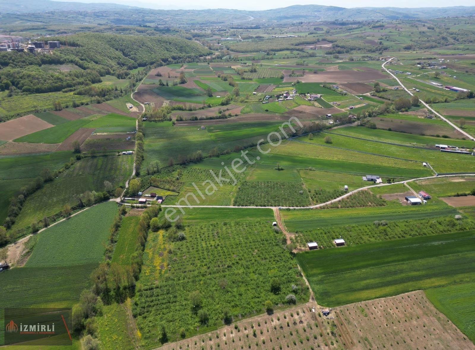 Aşırlarda 8.999 M² Düz Zemin Verimli Fındıklık - Görsel 2