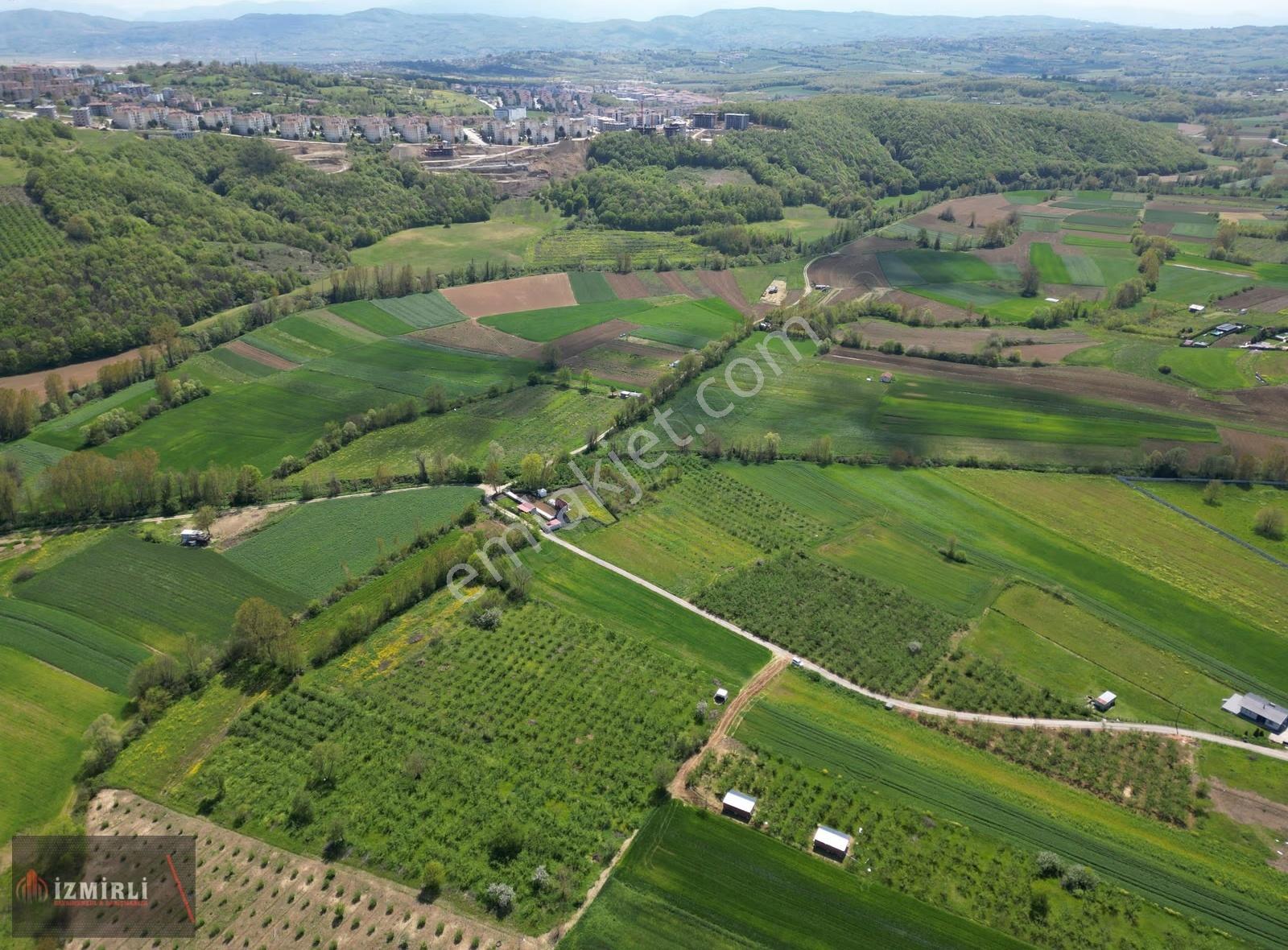 Aşırlarda 8.999 M² Düz Zemin Verimli Fındıklık - Görsel 20