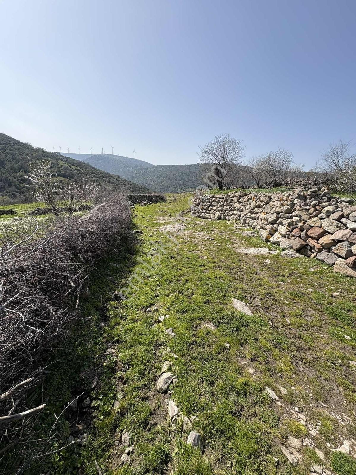 Bergama Avunduk Köyü İmar Sınırı Bahçe - Görsel 7