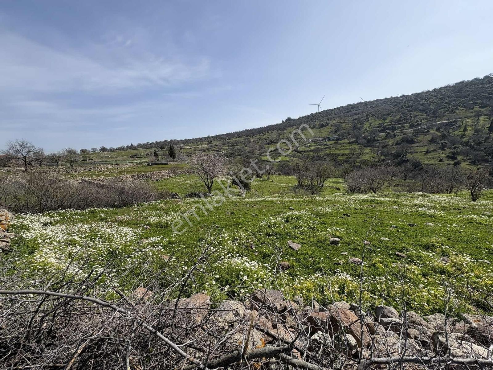 Bergama Avunduk Köyü İmar Sınırı Bahçe - Görsel 3