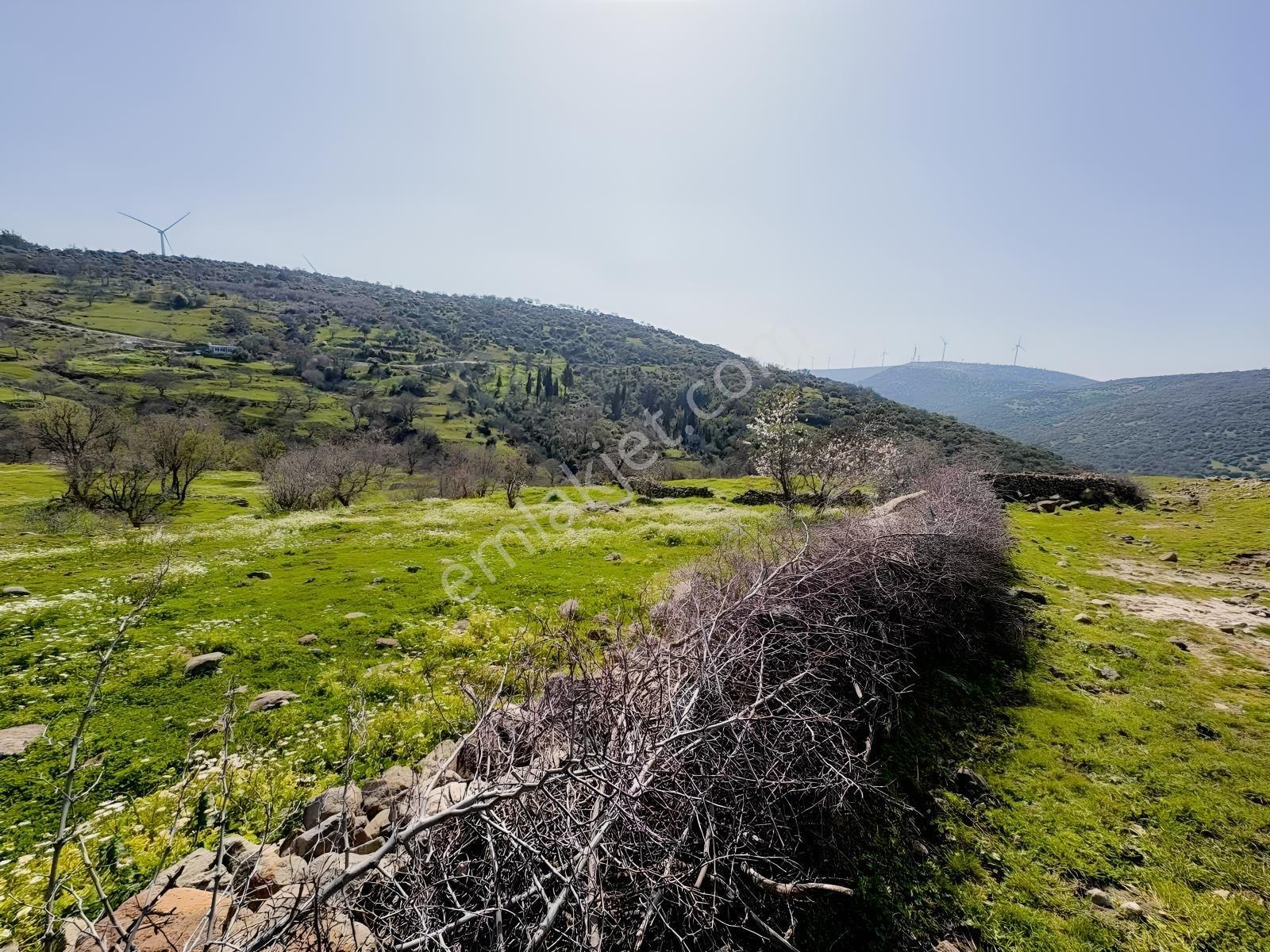 Bergama Avunduk Köyü İmar Sınırı Bahçe - Görsel 2