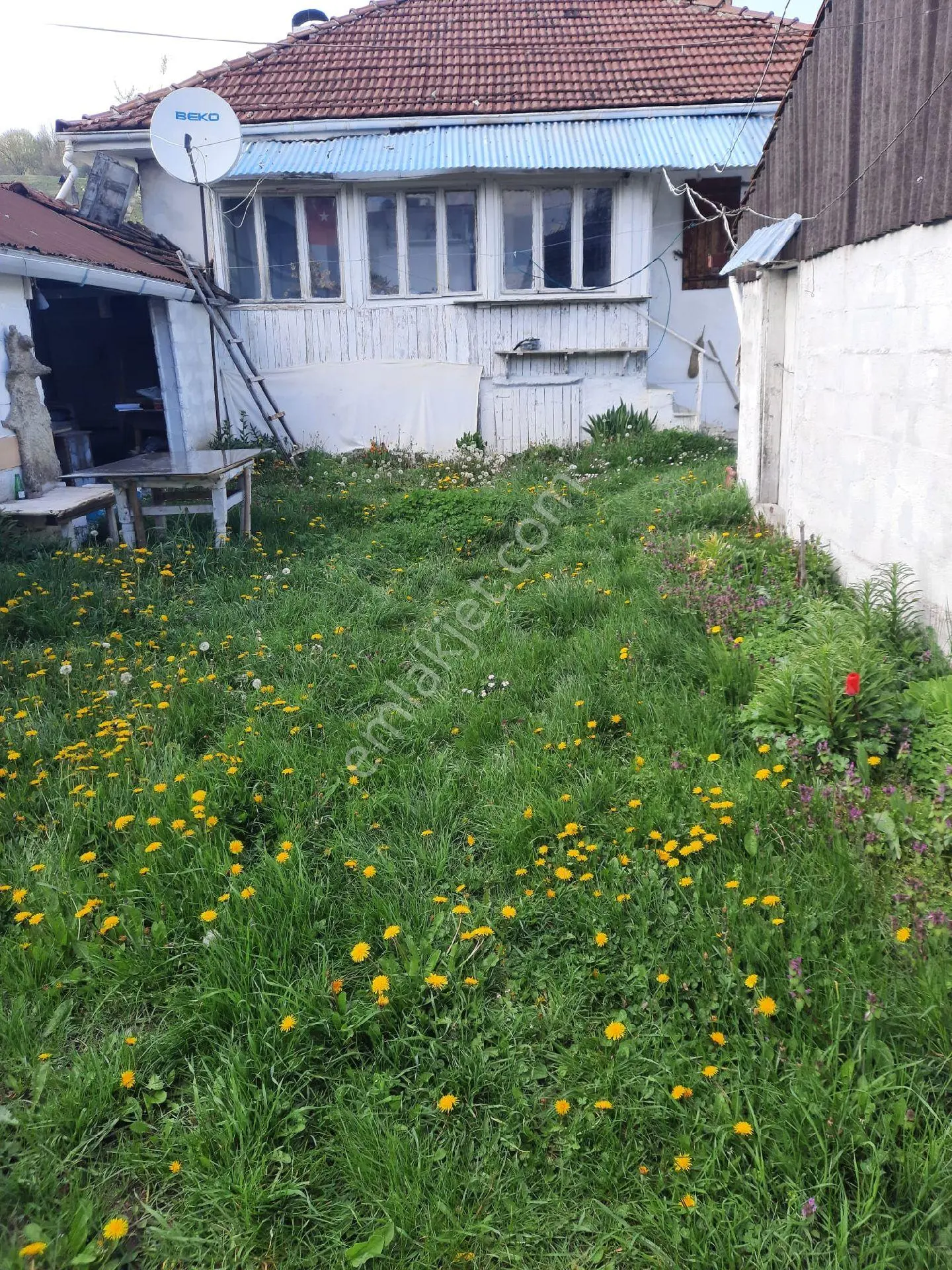 Abant Yolu Üzeri Doğayla İç İçe Müstakil Ev - Görsel 2