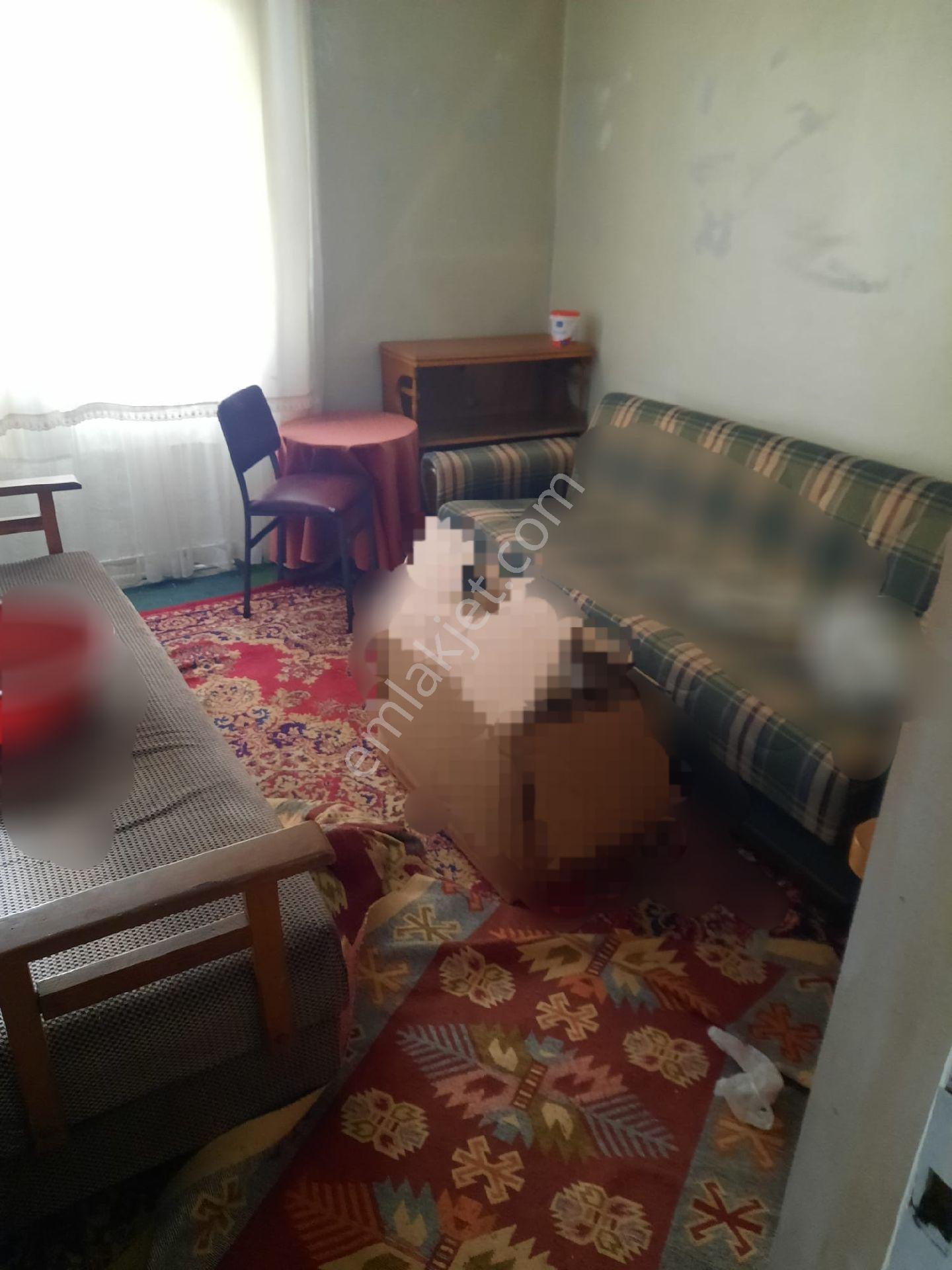 Abant Yolu Üzeri Doğayla İç İçe Müstakil Ev - Görsel 8