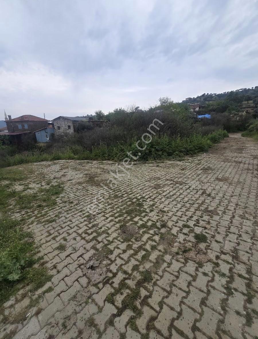 Tire Arslan Emlaktan Gazilerde 458 M2 Köy İçi Arsa - Görsel 12