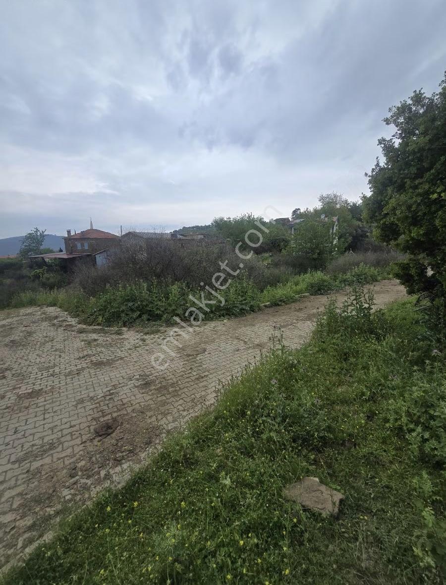 Tire Arslan Emlaktan Gazilerde 458 M2 Köy İçi Arsa - Görsel 10