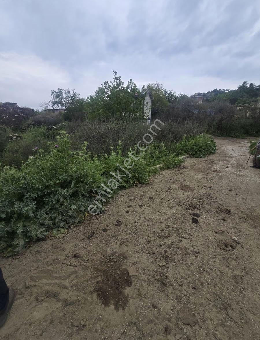 Tire Arslan Emlaktan Gazilerde 458 M2 Köy İçi Arsa - Görsel 19