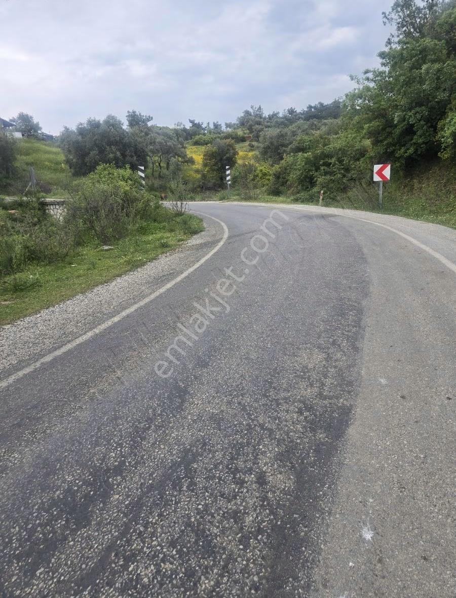 Tire Arslan Emlaktan Gazilerde 458 M2 Köy İçi Arsa