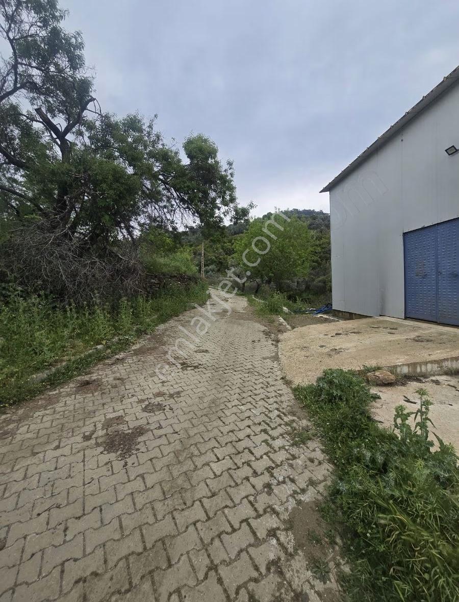 Tire Arslan Emlaktan Gazilerde 458 M2 Köy İçi Arsa - Görsel 7