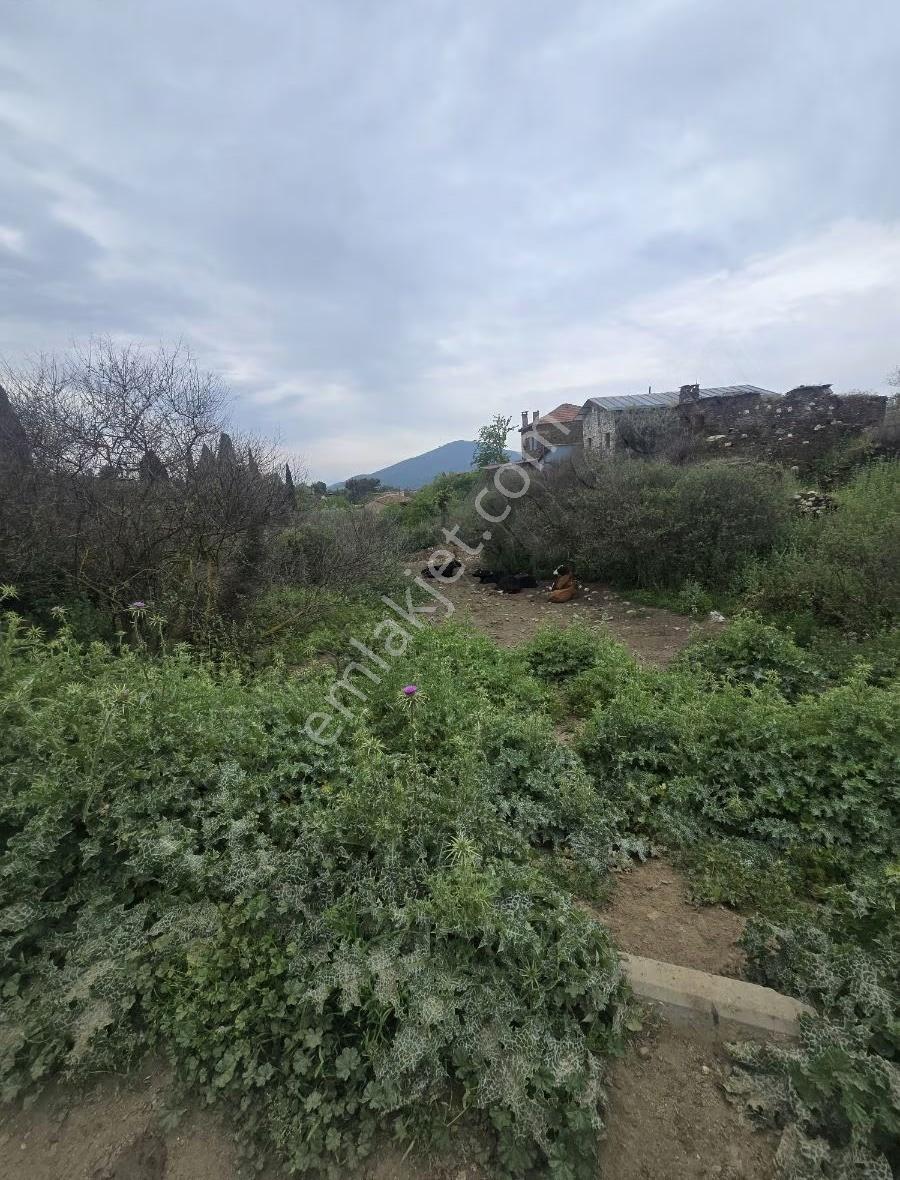 Tire Arslan Emlaktan Gazilerde 458 M2 Köy İçi Arsa - Görsel 17