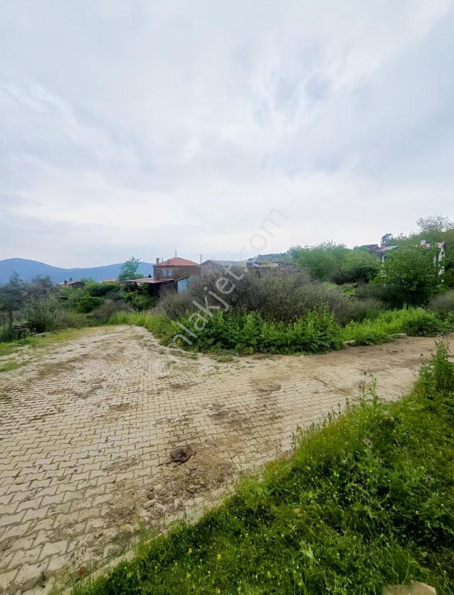 Tire Arslan Emlaktan Gazilerde 458 M2 Köy İçi Arsa - Görsel 8