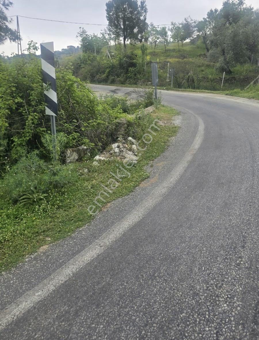 Tire Arslan Emlaktan Gazilerde 458 M2 Köy İçi Arsa - Görsel 4