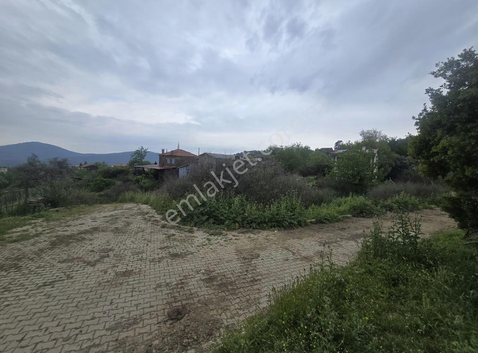Tire Arslan Emlaktan Gazilerde 458 M2 Köy İçi Arsa - Görsel 9