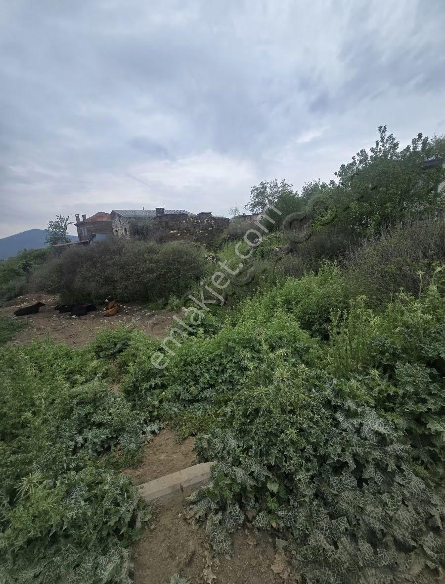 Tire Arslan Emlaktan Gazilerde 458 M2 Köy İçi Arsa - Görsel 2