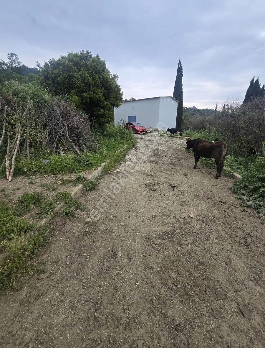 Tire Arslan Emlaktan Gazilerde 458 M2 Köy İçi Arsa - Görsel 13