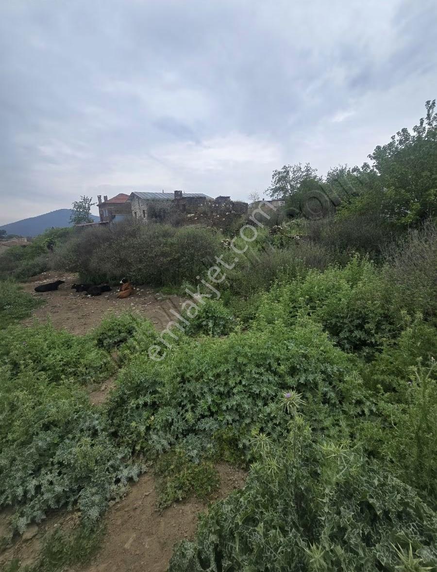 Tire Arslan Emlaktan Gazilerde 458 M2 Köy İçi Arsa - Görsel 18