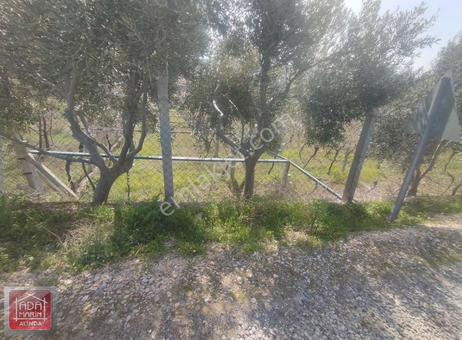 Kuşadası Kirazlıda İmara Yakın Full Deniz Manzaralı Arazi - Görsel 9