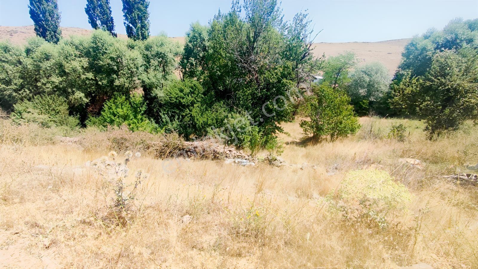 Rw Nest'ten Kayapınar Mahallesinde 1.180 M2 Köyiçi Satılık Arsa - Görsel 5
