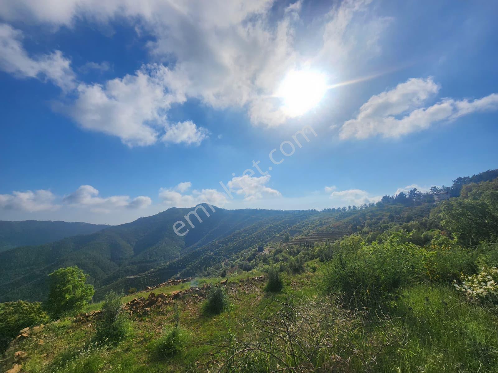 Alanya Çamlıca Köyü Satılık 2400 M2 Müstakil Tapulu Tarla - Görsel 14