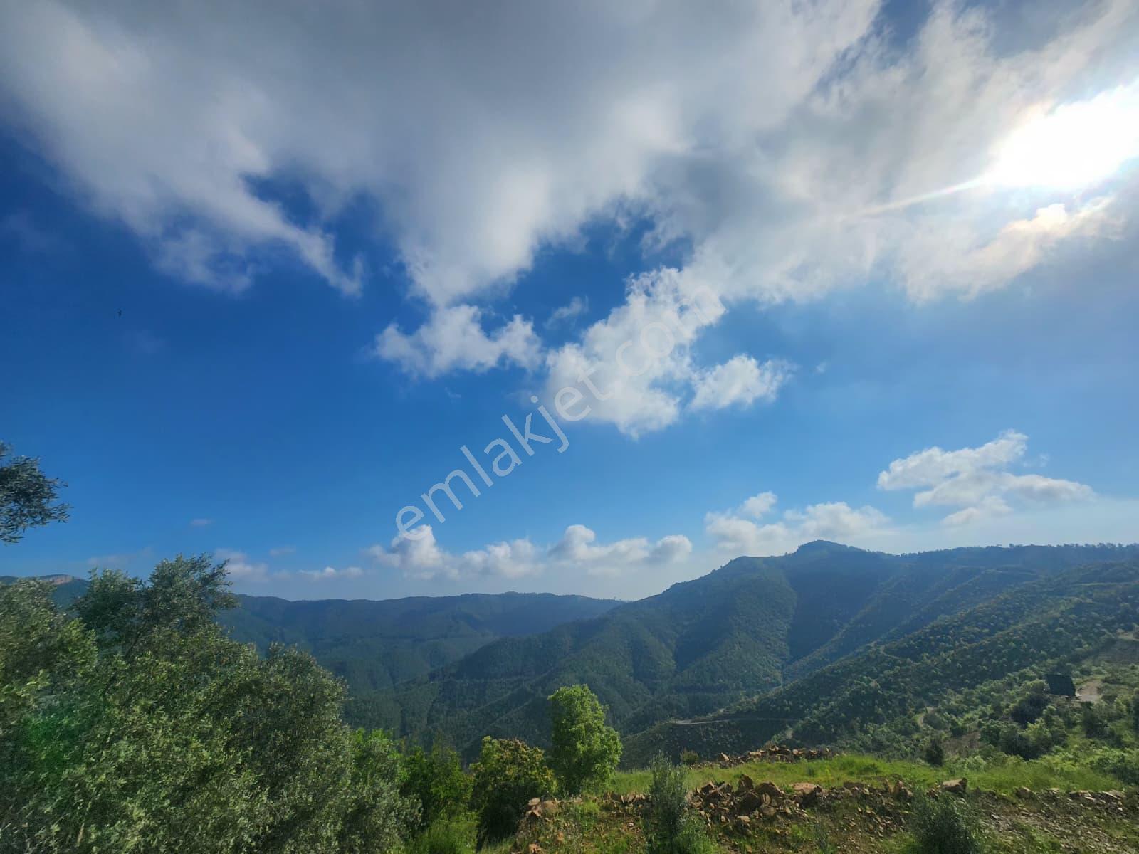 Alanya Çamlıca Köyü Satılık 2400 M2 Müstakil Tapulu Tarla - Görsel 13