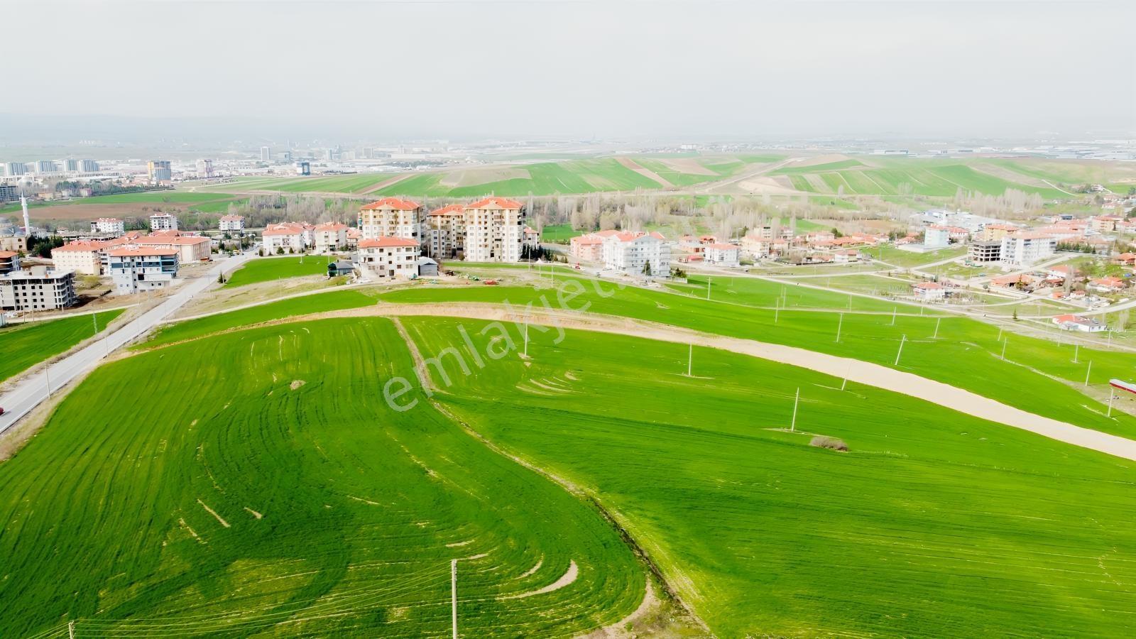 --*altınova Da İmara Sınır 1019 (800ada10) Parsel 1.812 Metre--*