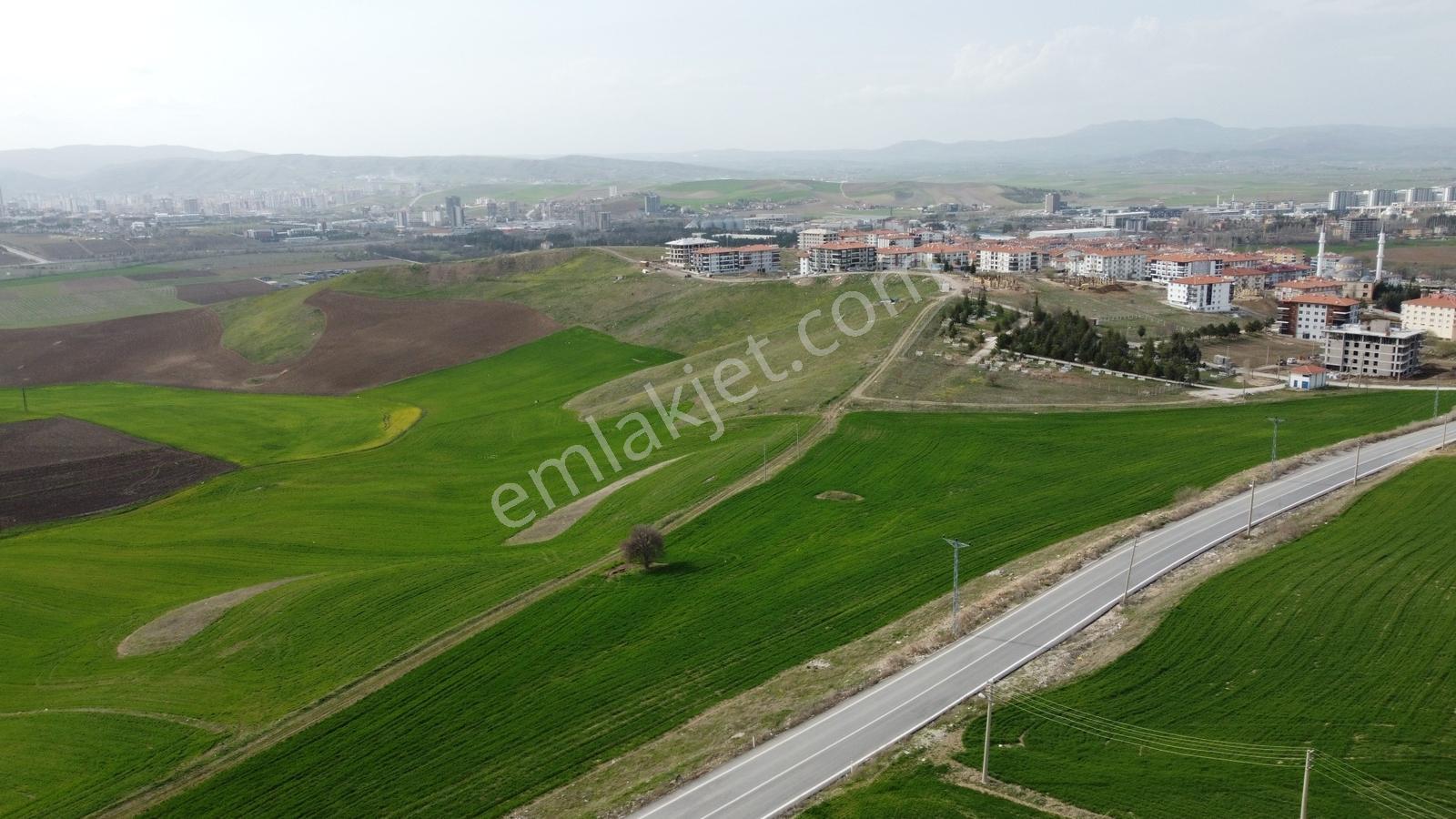 --*altınova Da İmara Sınır 1019 (800ada10) Parsel 1.812 Metre--* - Görsel 14