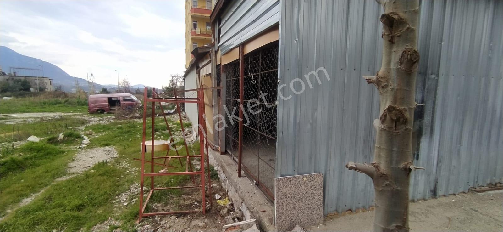 Alanya Çıplaklı'da Çıplaklı Kavşağında Satılık 150 M2 Müstakil Giriş Dükkan - Görsel 15