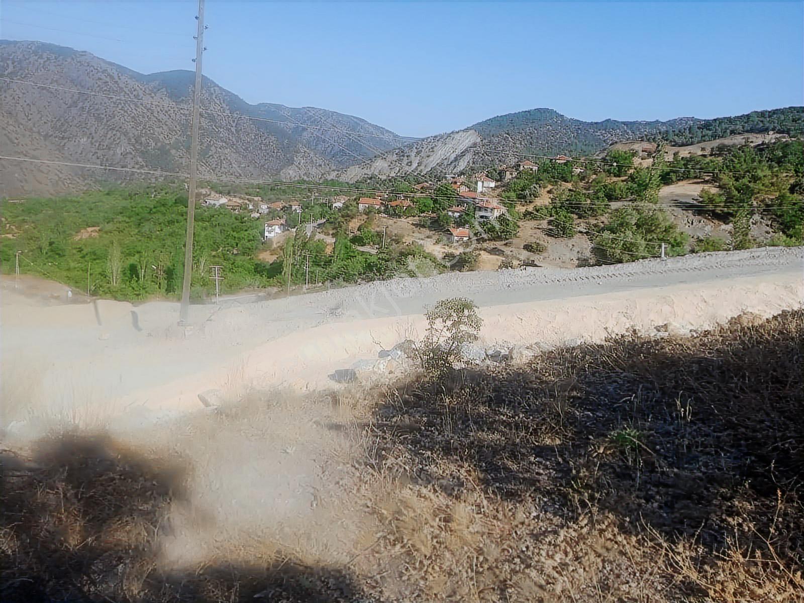 Rw Nest'ten Sarıcakaya Dağküplü'de 3125 M2 Satılık Bağ - Görsel 5