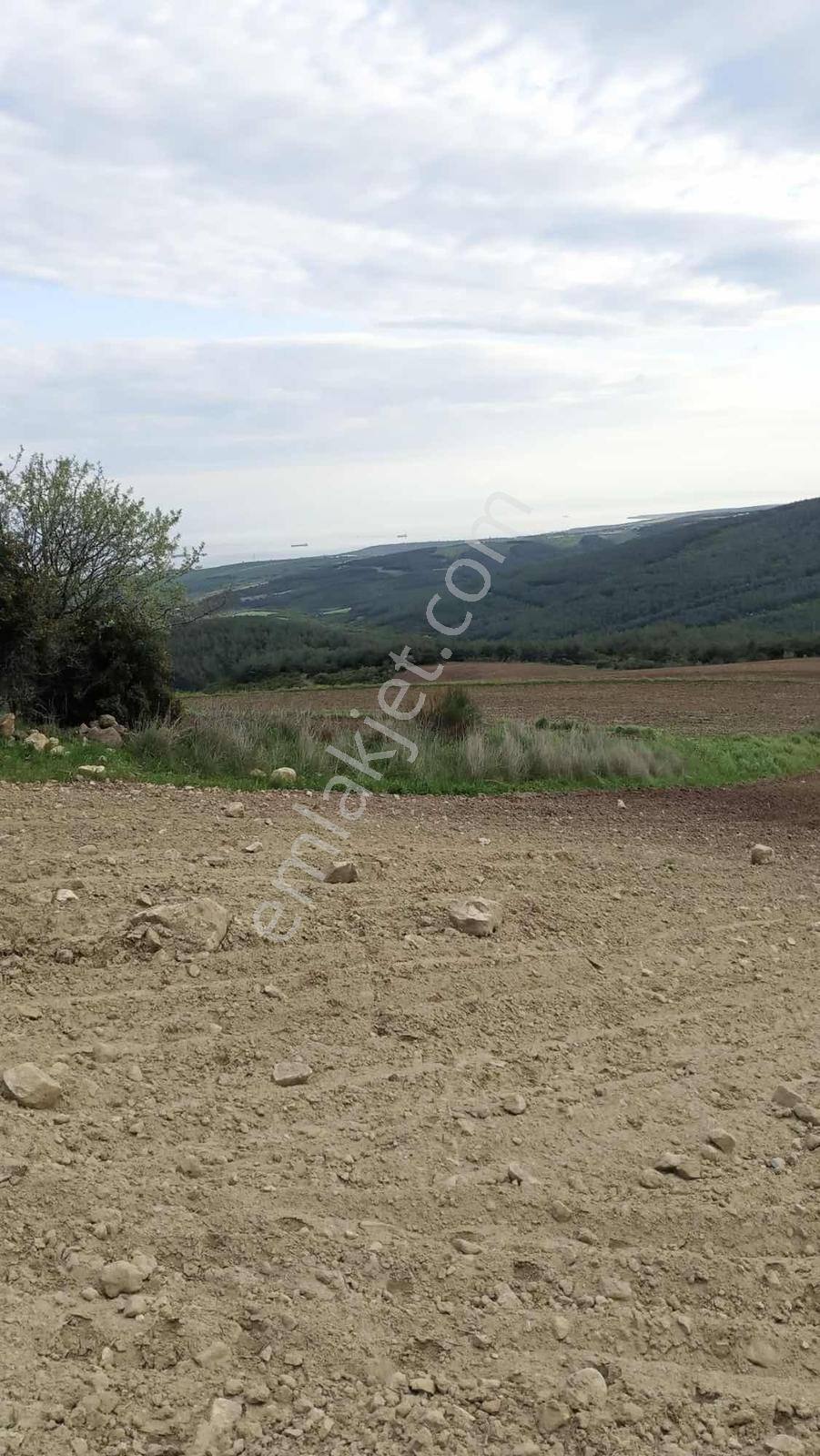Demir İnşaattan Tekirdağ Şarköyde Tek Tapu 20 Dönüm Arsa - Görsel 2