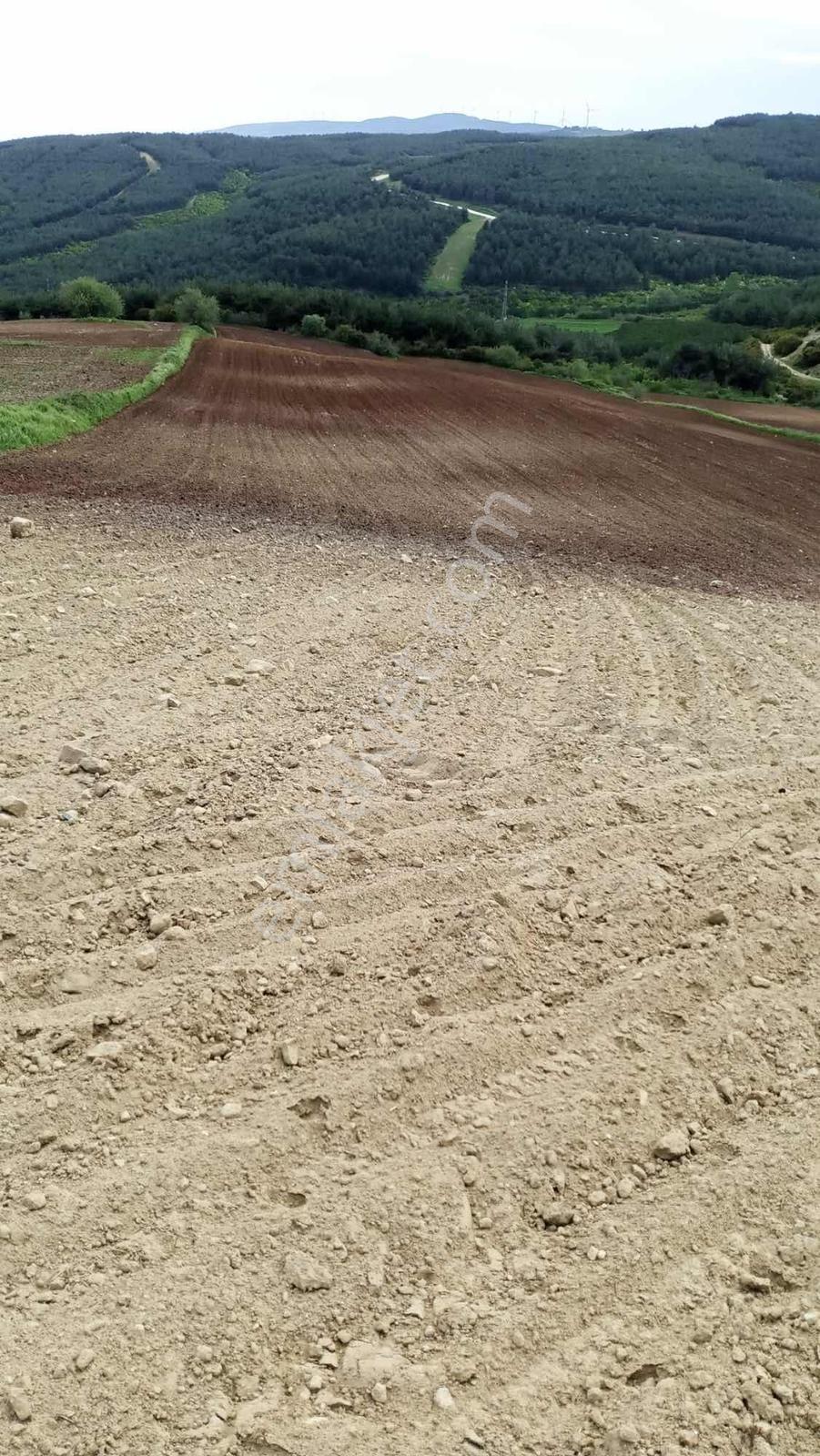 Demir İnşaattan Tekirdağ Şarköyde Tek Tapu 20 Dönüm Arsa - Görsel 3