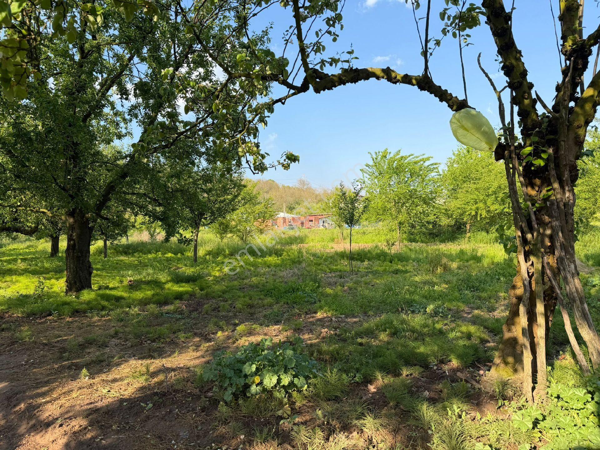 Kartepe Eşmede - Görsel 6
