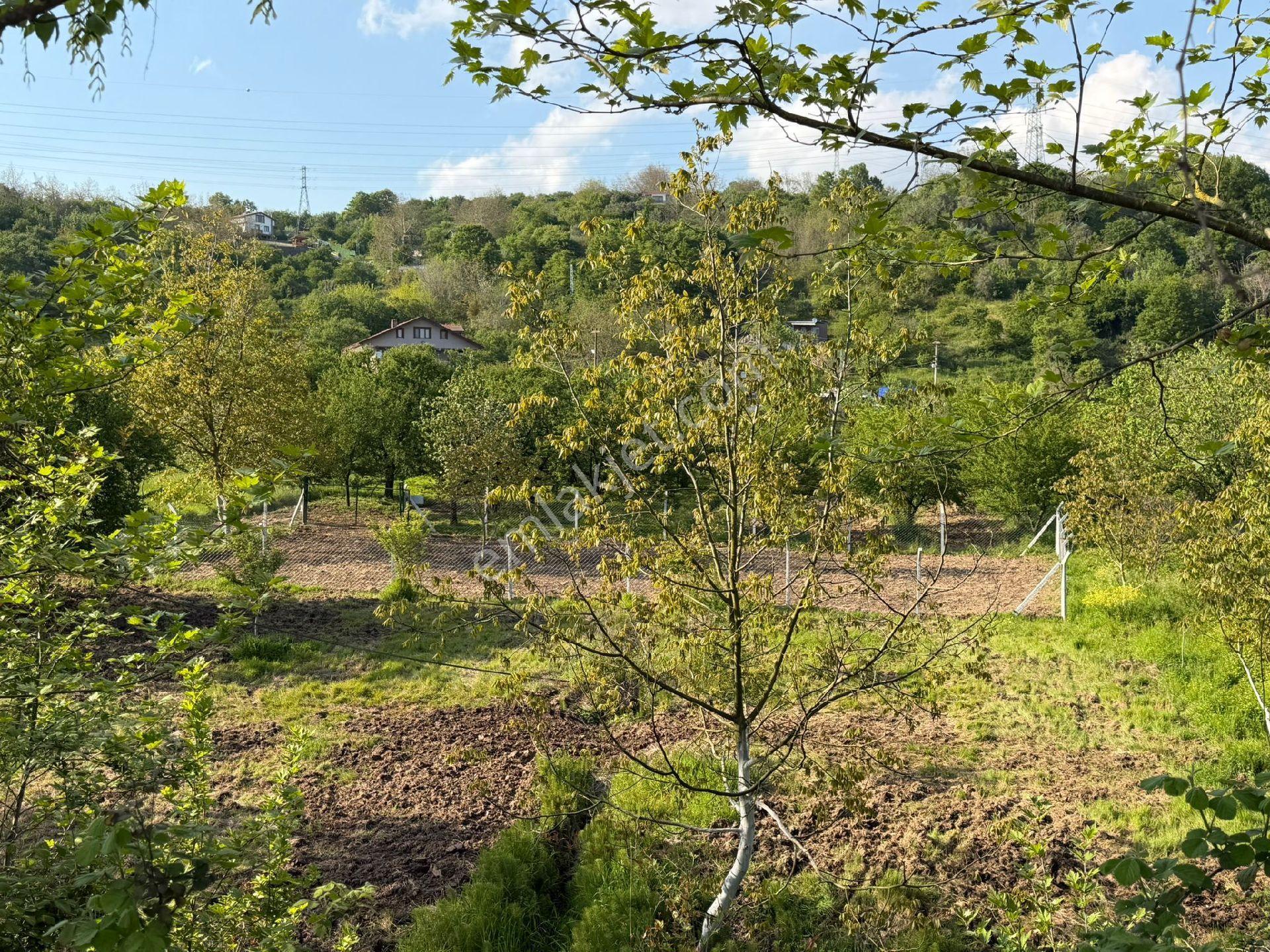 Kartepe Eşmede - Görsel 14